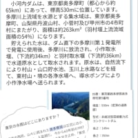 奇跡的出会い…カモシカと出会う（奇跡Part2）