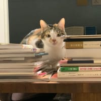 読書ルネッサンス