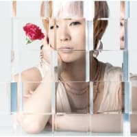 カーネーション（2011年秋）