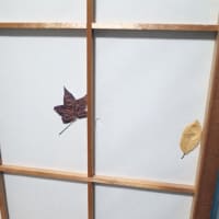 とても風流な「障子」