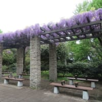 昭和記念公園　１