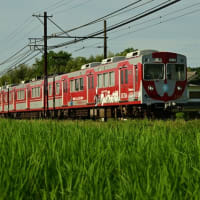 今日は これだけ