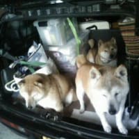 帰る支度完了