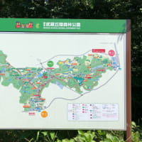 国営武蔵丘陸森林公園