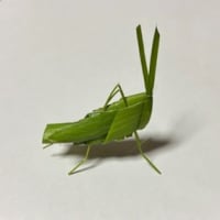 くりかえしは大切