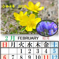 芽吹きの2月 