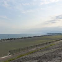 田子の浦
