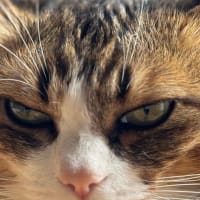 これからの事