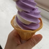 一寸休憩・73　あしかがフラワーパークに行ってきました