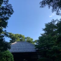 ガラケーの　写真懐かし　朝の事