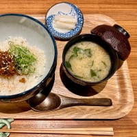 下鴨神社とデミグラスと濃緑の観光列車　叡山本線を完乗！