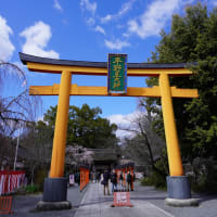 京都大学人文科学研究所 - m's diary 京都大学人文科学研究所 - m's diary