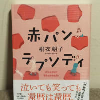 プレ還暦イヤーに読んだ本～赤パンラプソディ（桐衣　朝子　著）
