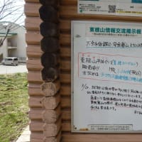 東根山