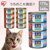 １月に咲く薔薇　ミケ子とクロの餌事情　今日の庭猫たち