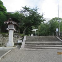 茅の輪くぐり