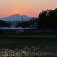 二上山の日の出～北大伴　千早川３　２０２５．７