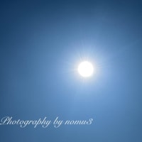 今日の太陽☀️