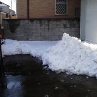 にょきりん復活 ガオガオがおりん にょきりん復活 ガオガオがおりん