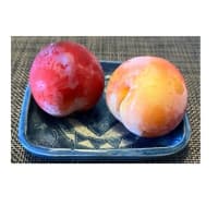 小型テレビじゃ...