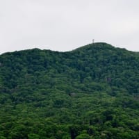 2025.06.26(木)AM07:01の藻岩山・平和祈念塔・手稲山・三角山・円山