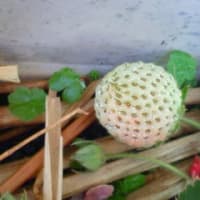 こんにちは～☆