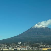 日本生活再開