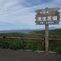 北海道小清水町　小清水原生花園