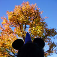 節約・節約。　～東京ディズニーリゾートへの旅③