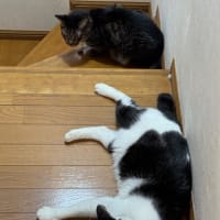2025/6/30の夜
