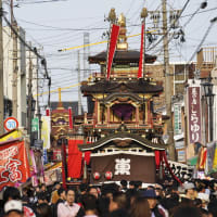 垂井曳山まつり２０２５　其の四