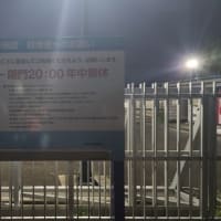 釣りに出かける。