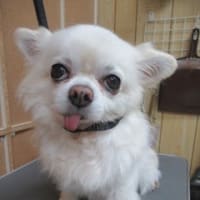 I LOVEウィートンの1週間の始まりは、ピーピーピー！？