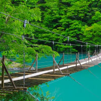 夢のつり橋。。。