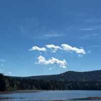 山