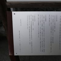 鎌倉　大仏と長谷寺参拝です。