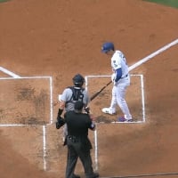 「大谷翔平スタイル」