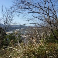 五胡十六国時代には、多くの出来事や重要な人物が登場