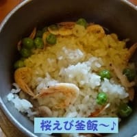 　しばしばでもいい～ ③