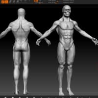 ZBrush デジタルスカルプティング 人体解剖学 (DVD付） - ZBrush