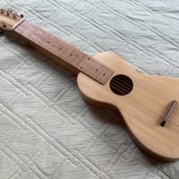 アコースティックラップスチールギター　