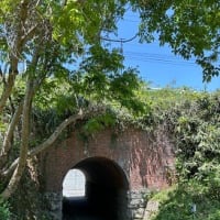 １０年ぶりの大仏鉄道４