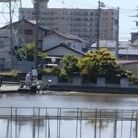 ゴールデンウイーク　２