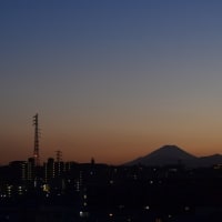 富士山を見ると・・・・