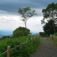 夏の季語／安居(あんご)・夏安居(げあんご)・雨安居(うあんご)・夏(げ)・一夏(いちげ)・夏行・夏籠・夏の始・一夏九旬・夏百日・百日の行・後安居(ごあんご)・解夏(げげ)・夏の終         
