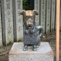 異形鉄筋/5月も終わります