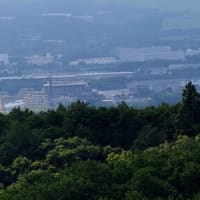 ちょっと気になるウーブンシティ