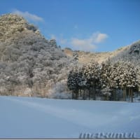 雪景色－写真フリー素材－