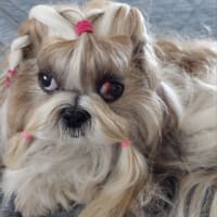凛ちゃんのお目目が…