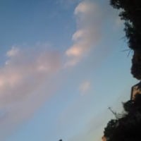 通信教育　22